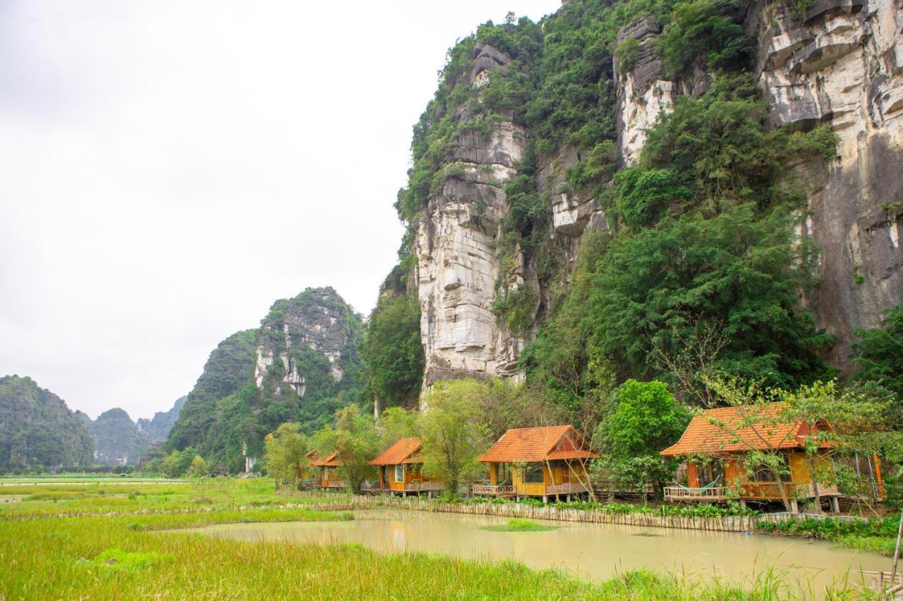 Lotus Field Homestay 宁平 外观 照片