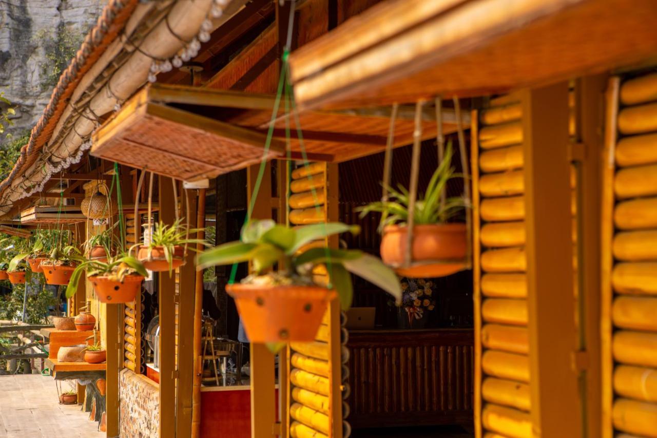 Lotus Field Homestay 宁平 外观 照片