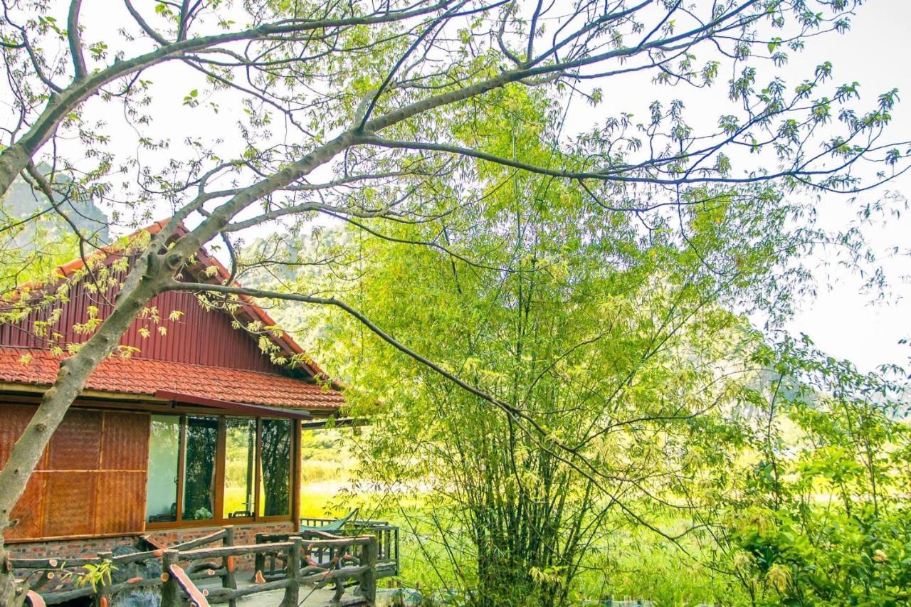 Lotus Field Homestay 宁平 外观 照片