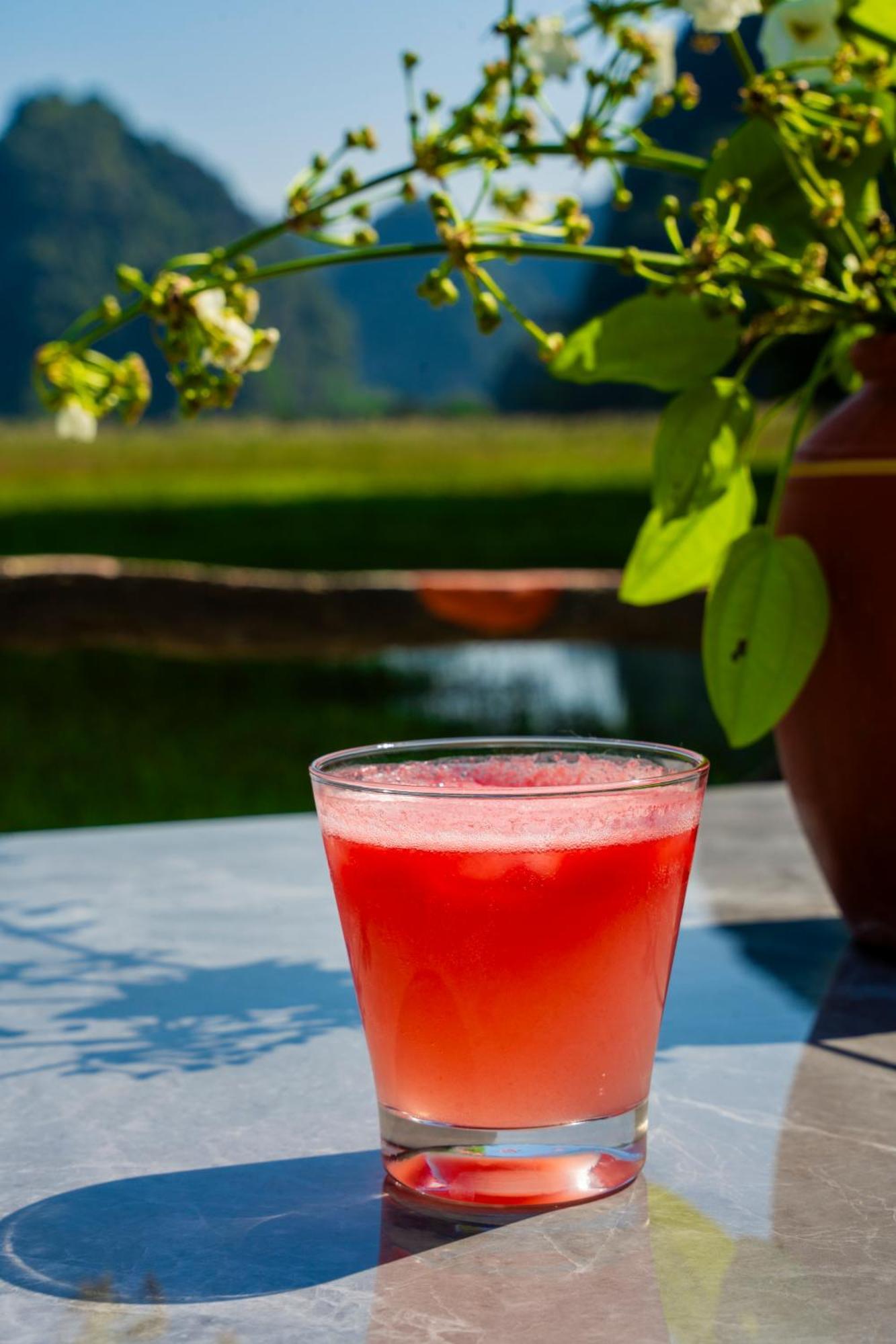 Lotus Field Homestay 宁平 外观 照片