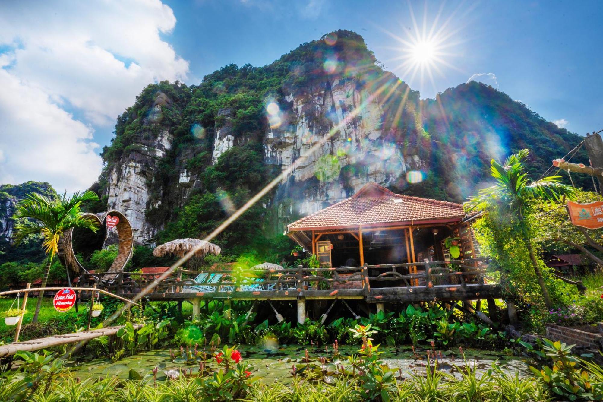 Lotus Field Homestay 宁平 外观 照片