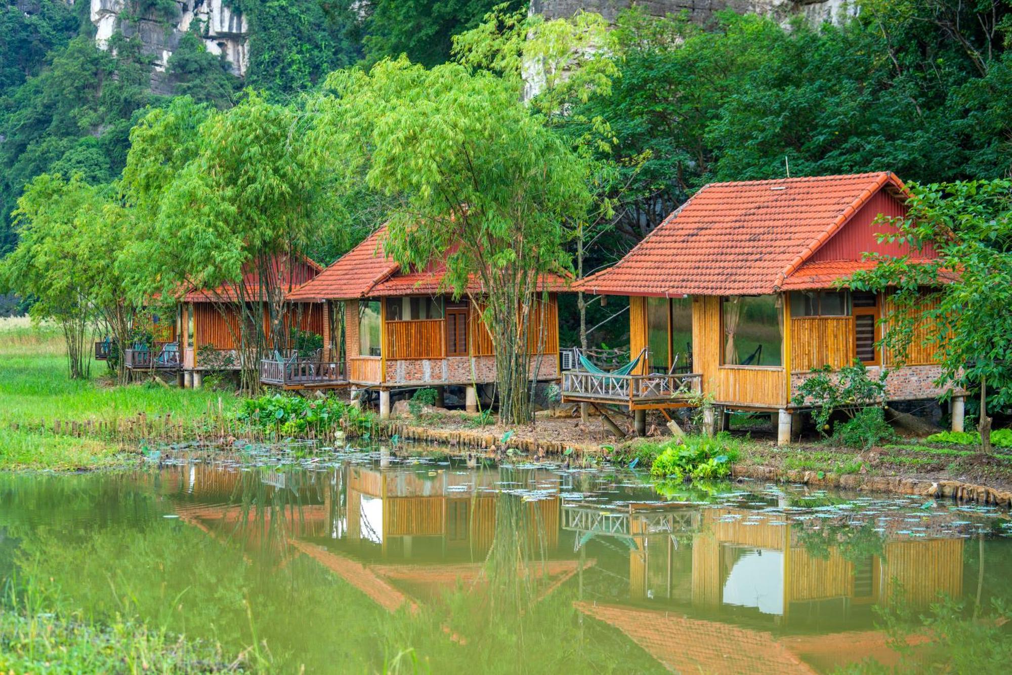 Lotus Field Homestay 宁平 外观 照片
