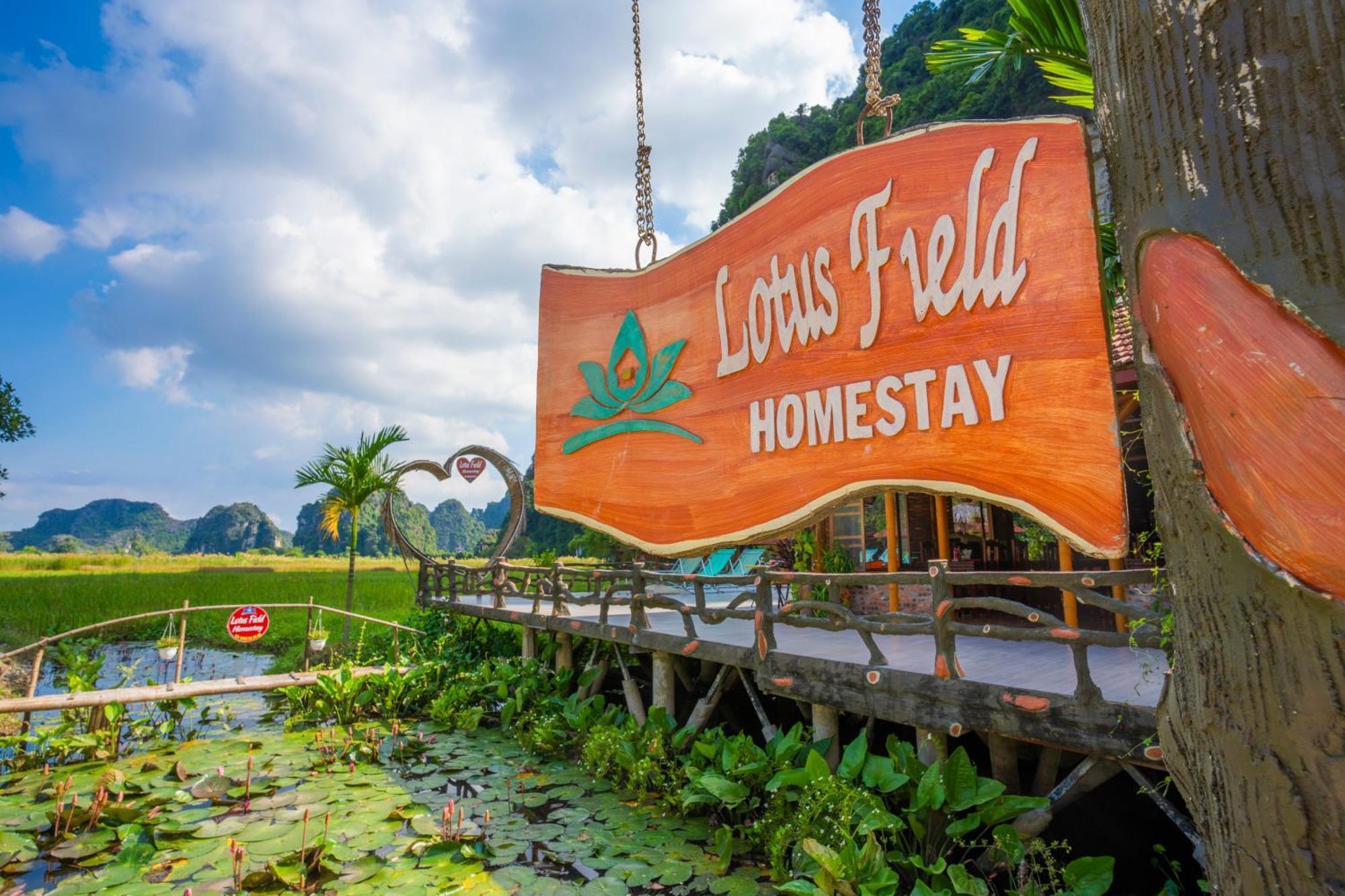 Lotus Field Homestay 宁平 外观 照片