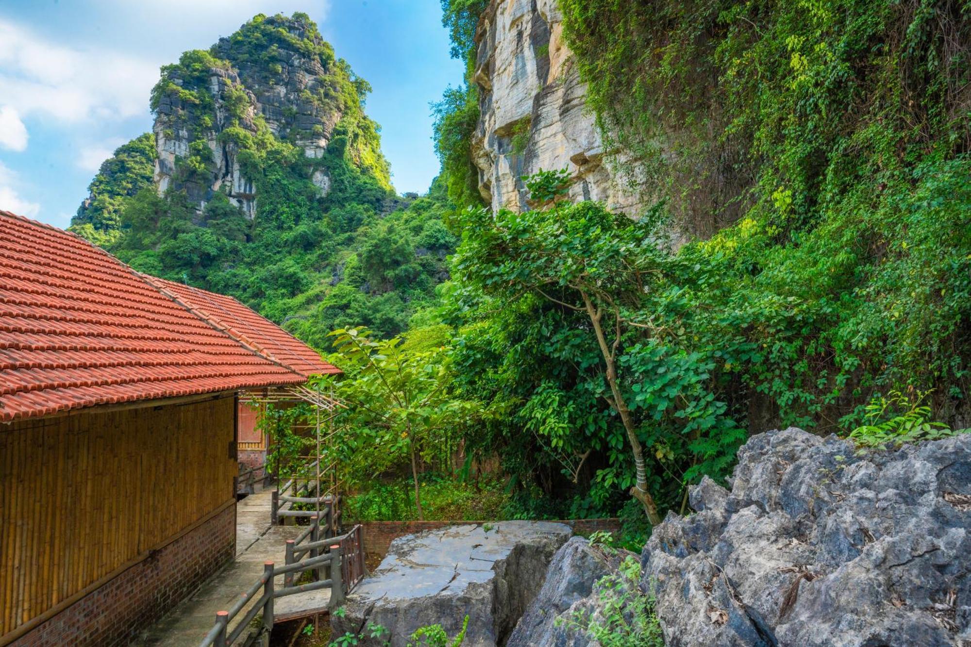 Lotus Field Homestay 宁平 外观 照片