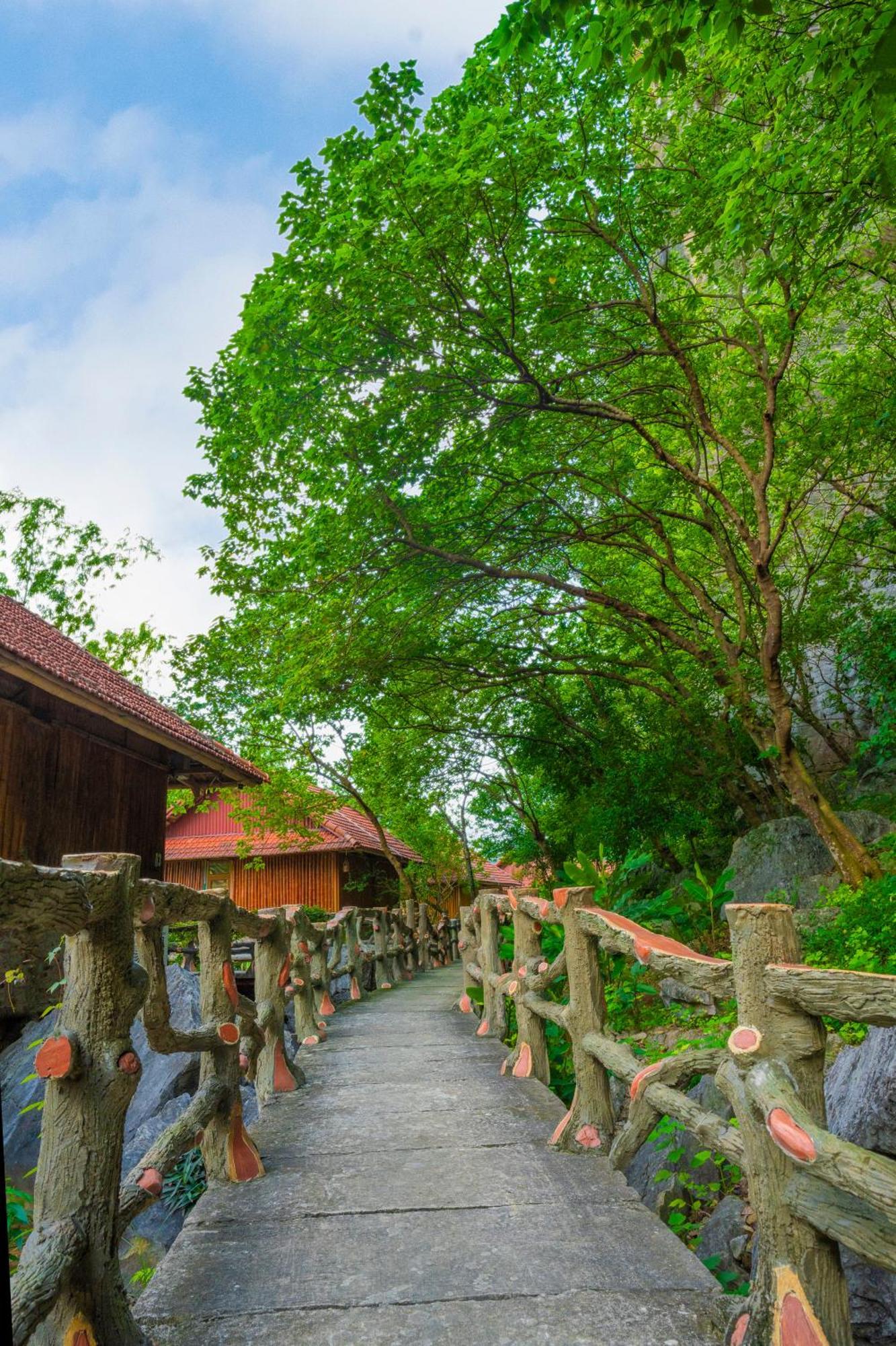 Lotus Field Homestay 宁平 外观 照片
