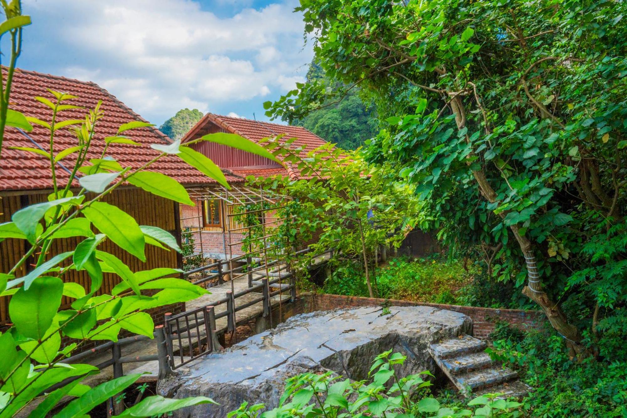 Lotus Field Homestay 宁平 外观 照片