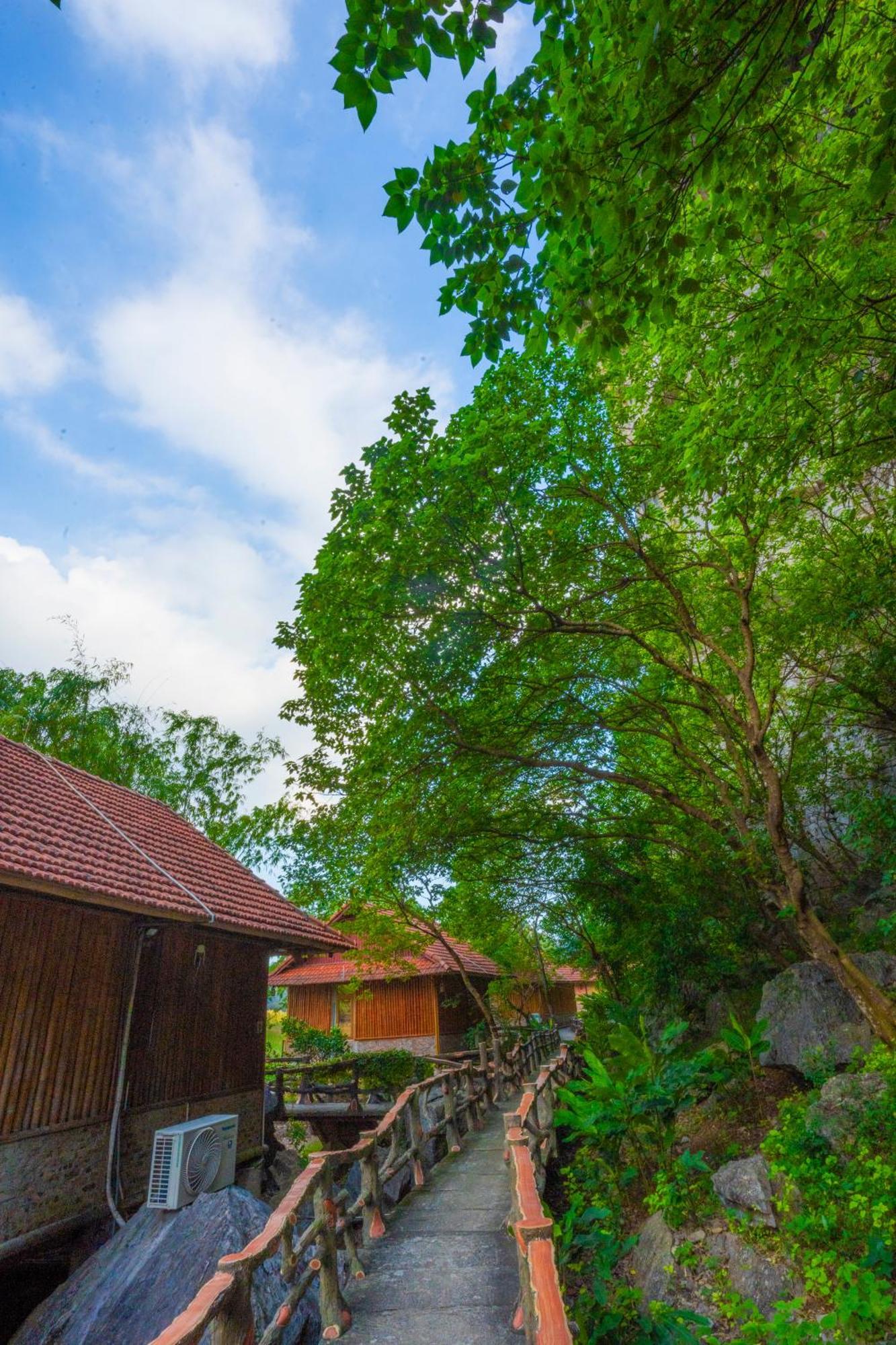 Lotus Field Homestay 宁平 外观 照片