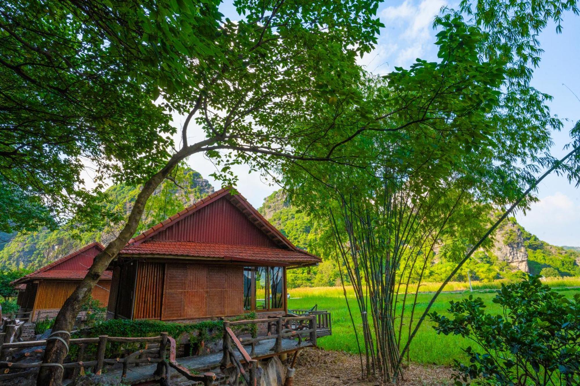 Lotus Field Homestay 宁平 外观 照片