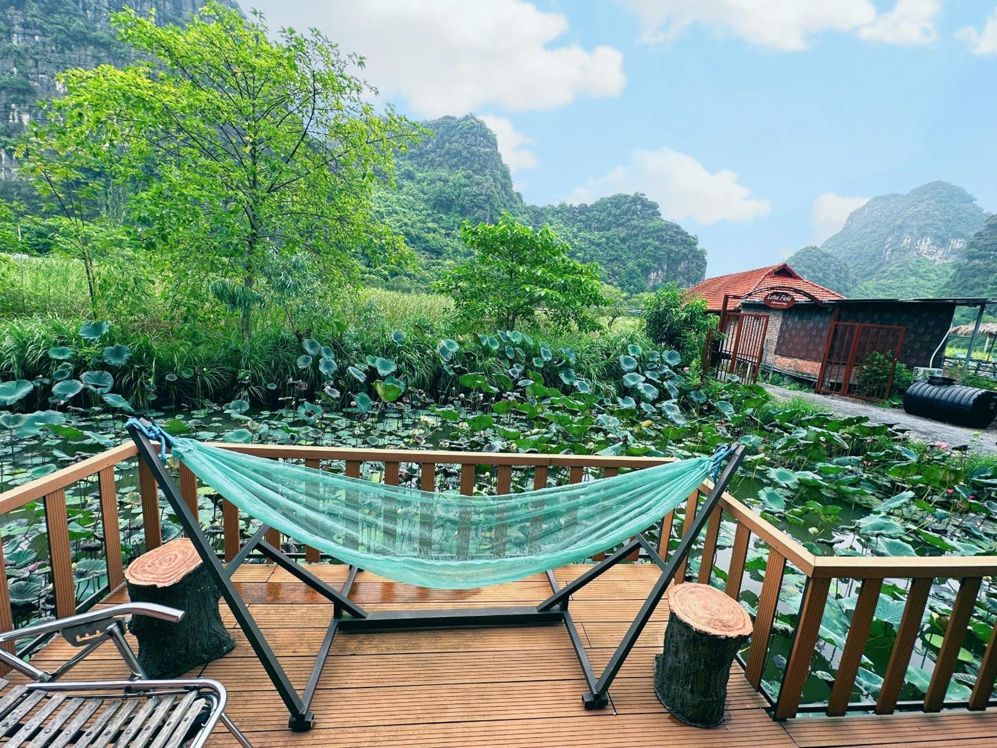 Lotus Field Homestay 宁平 外观 照片
